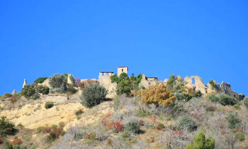 Création de site à Bras d'Asse